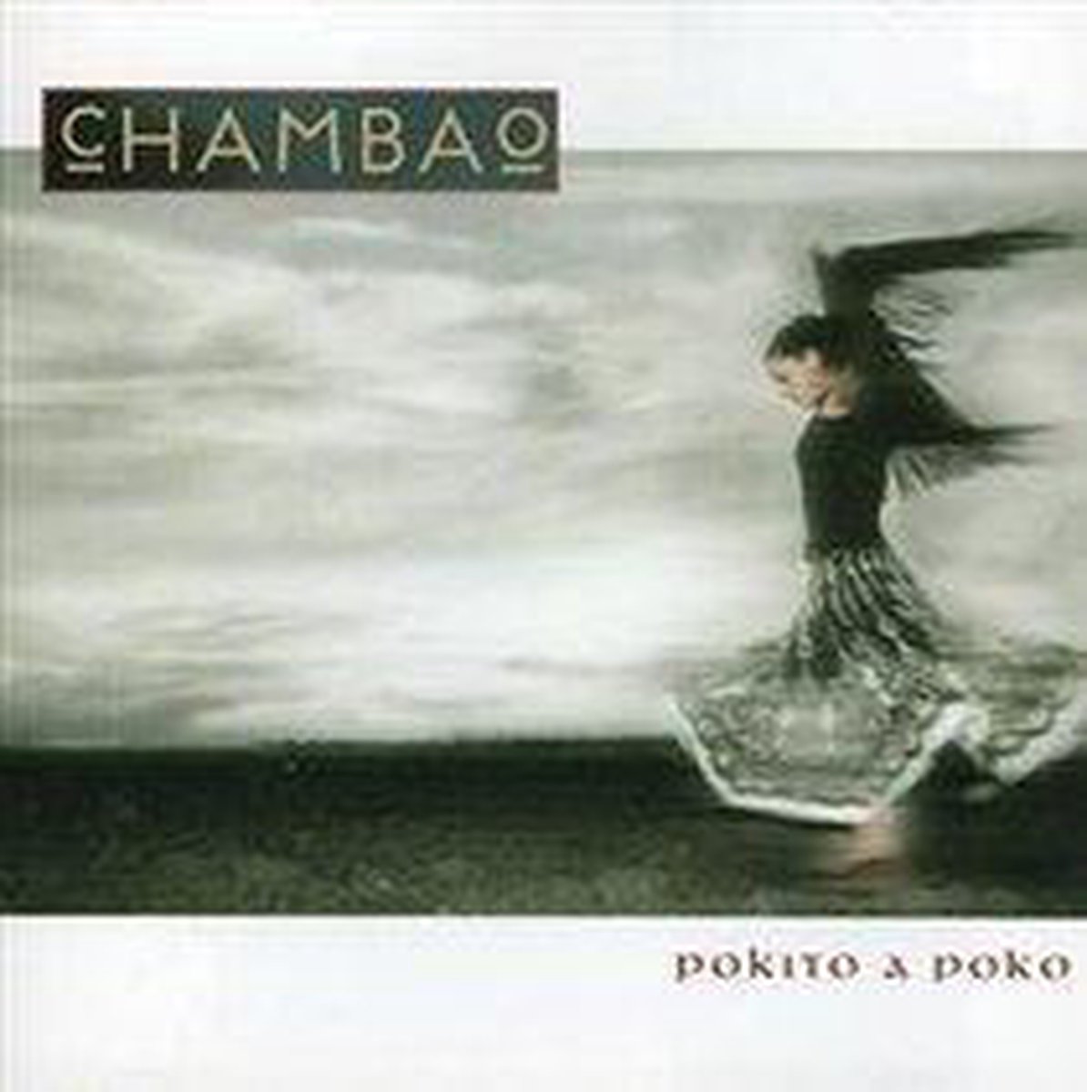 Pokito a Poko