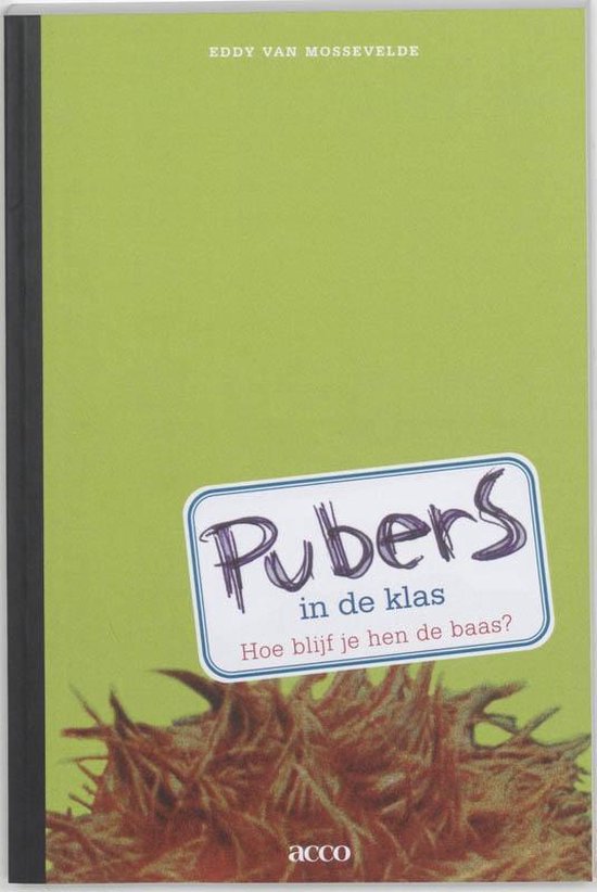 Cover van het boek 'Pubers in de klas / druk 1' van E. van Mossevelde