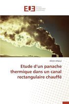 Omn.Univ.Europ.- Etude D Un Panache Thermique Dans Un Canal Rectangulaire Chauff�