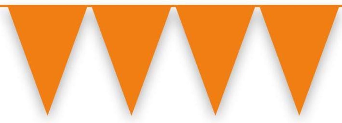 Vlaggenlijn oranje (10m)