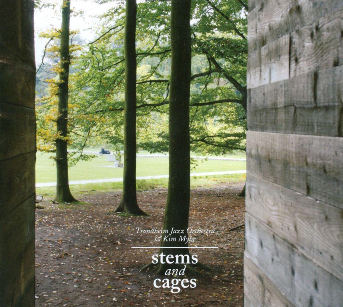 Stems And Cages