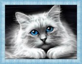 Diamond Painting Blue-Eyed Cat 40 x30