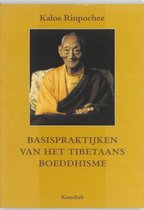 De basispraktijken van het Tibetaans boeddhisme