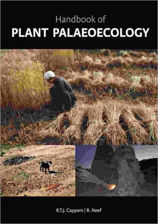Handbook of Plant Palaeoecology - cover
