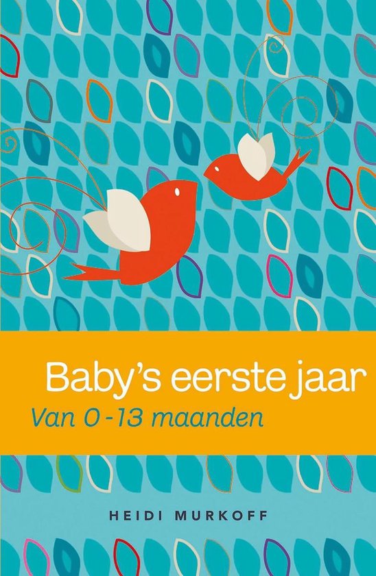 Baby's eerste jaar - Heidi Murkoff | Do-index.org