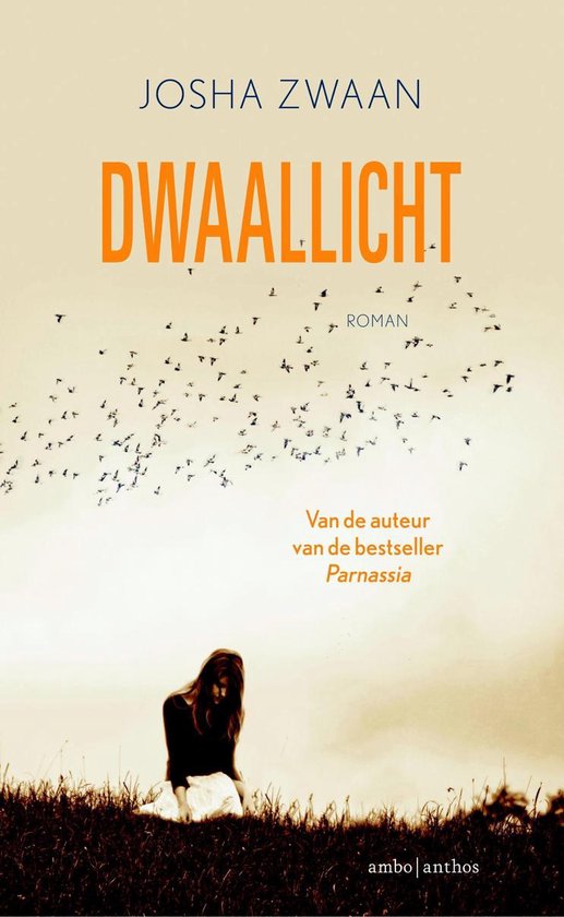 Dwaallicht - cover