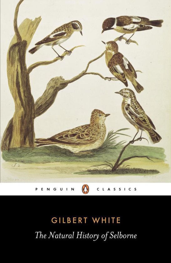 The Natural History of Selborne - cover