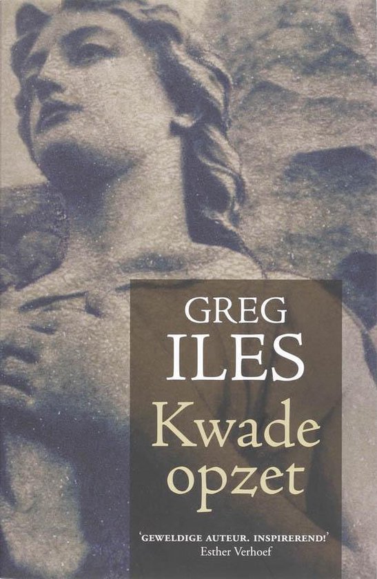 Boekomslag van 'Kwade opzet' door Greg Iles met een beeld van een engel.