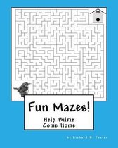 Fun Mazes!