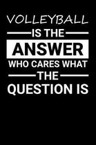 Volleyball Is the answer Who Cares what the question is