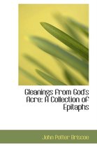 Gleanings from God's Acre