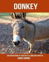 Donkey