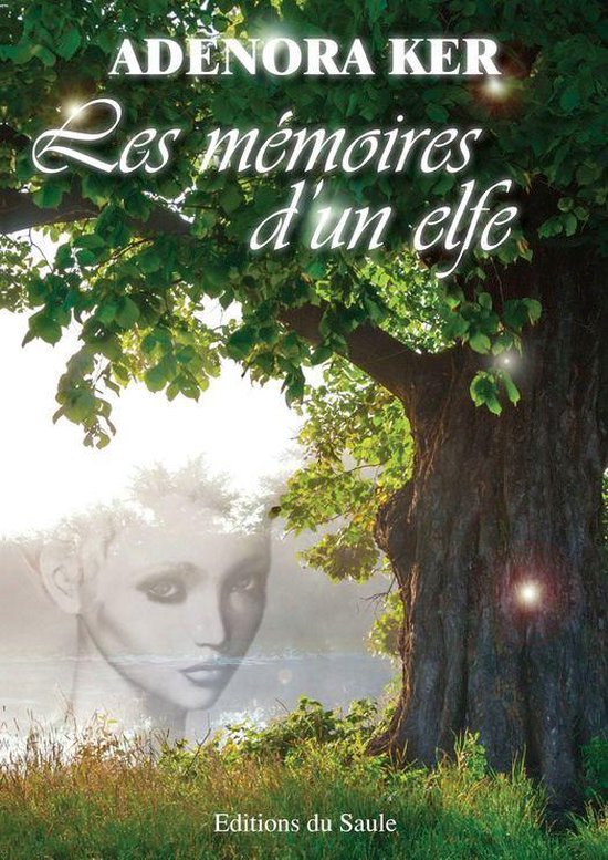 Les mémoires d'un elfe - cover