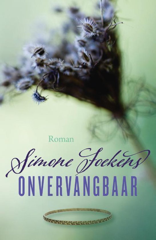 Onvervangbaar - cover