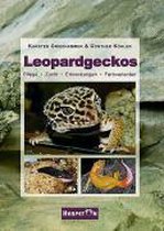 Omslag Leopardgeckos