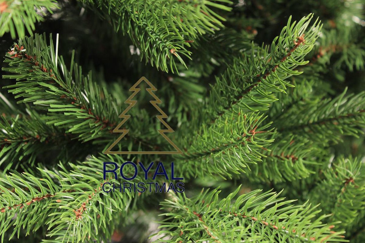 Nep Kerstboom PE / PVC Premium Hoogte 210 cm 2554 Takken