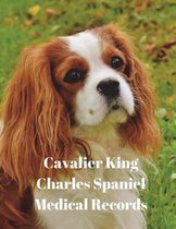 Cavalier King Charles Spaniel Medical Records
