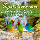 Vogelstimmen & Wasserfallsinfo