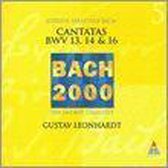 Cantatas 5-BWV 13,14,16