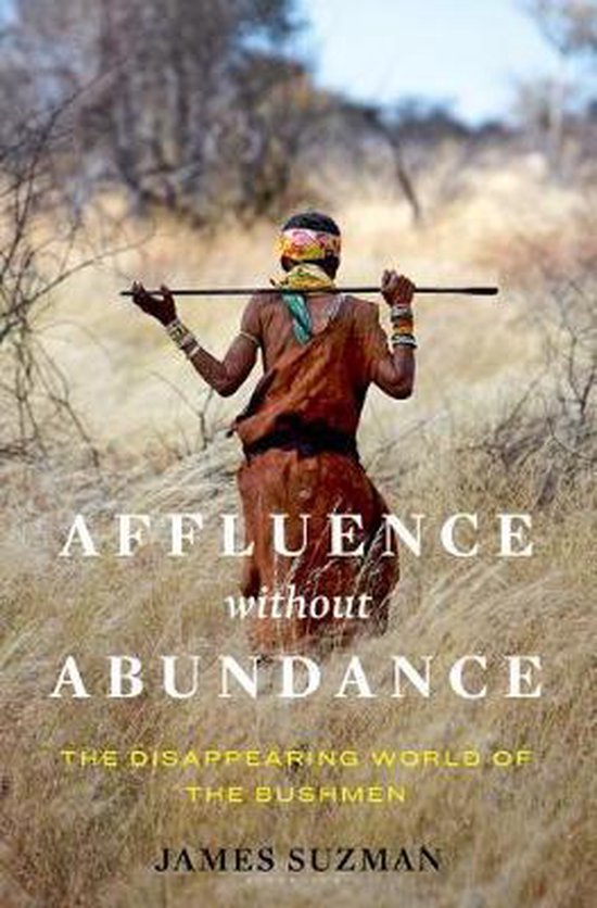 Affluence Without Abundance - cover