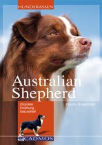 Hunderassen - Australian Shepherd