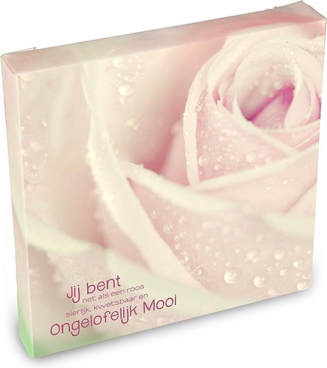 Jij bent ongelofelijk mooi Canvas Art