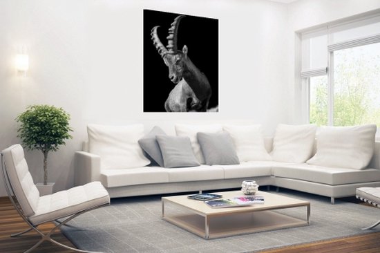 Poster Photo Chèvre Zwart 40x60 cm - Tirage Photo sur Poster (décoration murale salon / chambre) / Poster Animaux
