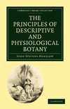 Cambridge Library Collection - Botany and Horticulture-The Principles of Descriptive and Physiological Botany