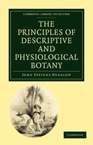 Cambridge Library Collection - Botany and Horticulture-The Principles of Descriptive and Physiological Botany