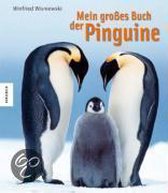 Mein Großes Buch Der Pinguine