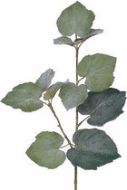 8x Kunstplant Linde Tilia bladgroen takken 50 cm groen