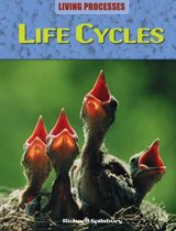 Life Cycles