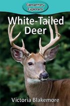 Elementary Explorers- White-Tailed Deer