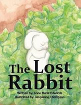 The Lost Rabbit