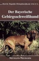 Der Bayerische Gebirgsschweißhund