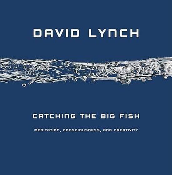 Catching the Big Fish - cover