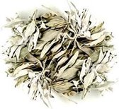 Witte Salie - 1000  gram - White Sage – Smudge - GRATIS VERZENDING!!