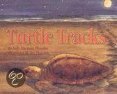 Turtle Tracks