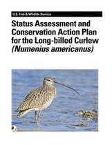 Status Assessment and Conservation Action Plan for the Long-Billed Curlew (Numenius Americanus)