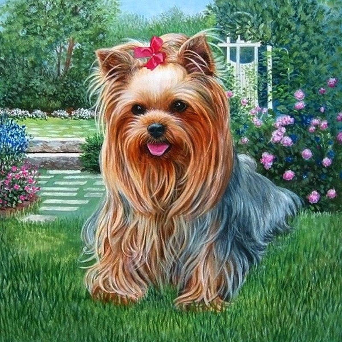 Diamond painting - Hond/puppy - Shih Tzu met strikje - 40x30cm | bol.com