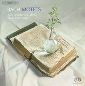 Bach Collegium Japan - Motets (CD)