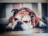 Deurmat 40x60 Engelse Bulldog Liggend