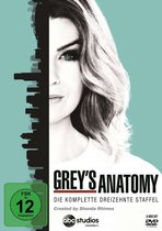 Grey's Anatomy Season 13