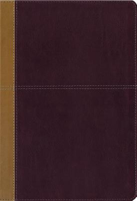 KJV, Amplified, Parallel Bible, Large Print, Bonded Leather, Black, Red