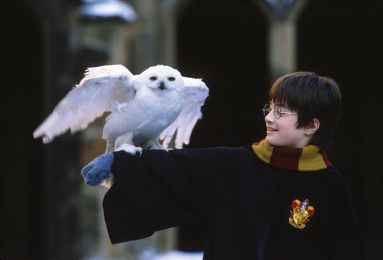 Een jongen met een bril, gekleed in een schooluniform met sjaal, houdt een witte uil met gespreide vleugels op zijn arm.