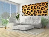 Leopard Photo Wallcovering