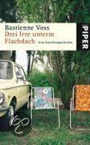 Drei Irre Unterm Flachdach