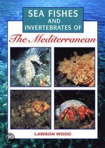 Sea Fishes Of The Mediterranean Including Marine Invertebrat