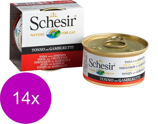 Schesir