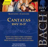 Bach-Ensemble, Helmuth Rilling - J.S. Bach: Cantatas Bwv 35-37 (CD)